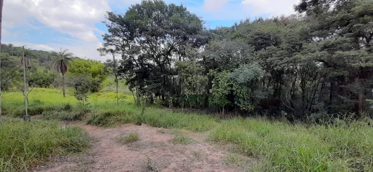 Terreno, 10 hectares - Foto 2