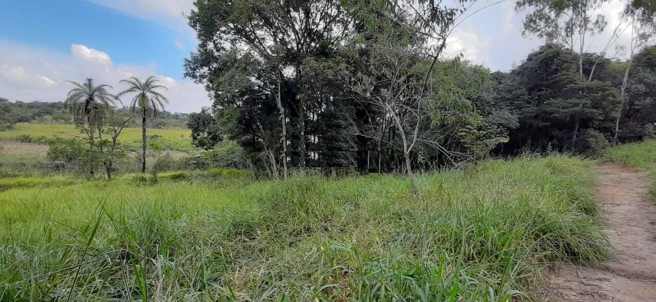 Terreno, 10 hectares - Foto 3