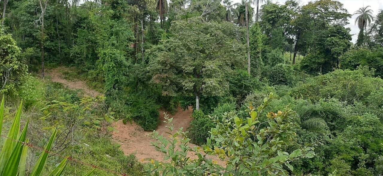 Terreno, 10 hectares - Foto 6