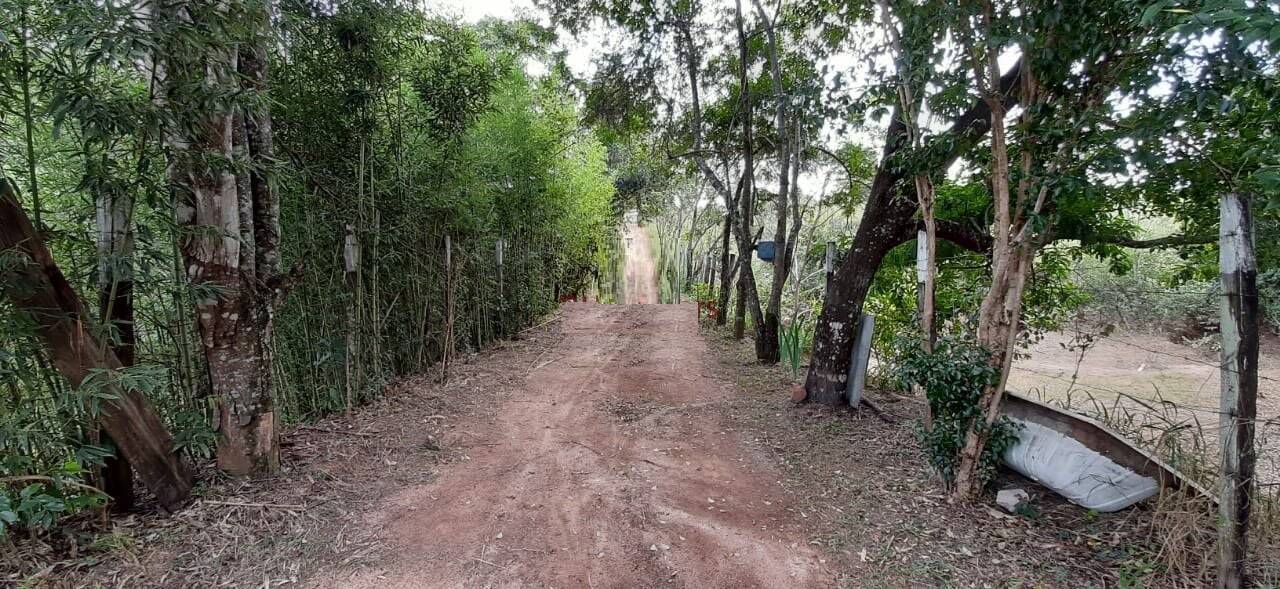 Terreno, 10 hectares - Foto 7