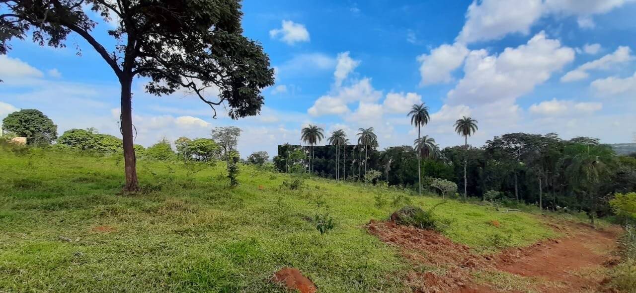 Terreno, 10 hectares - Foto 8
