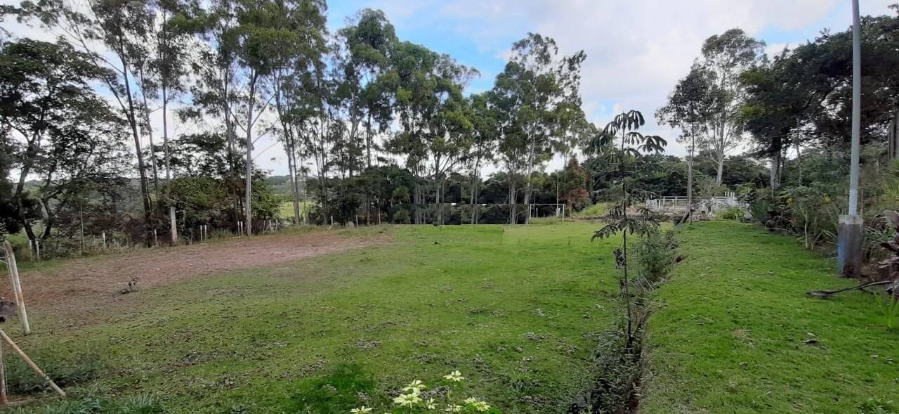 Terreno, 10 hectares - Foto 9