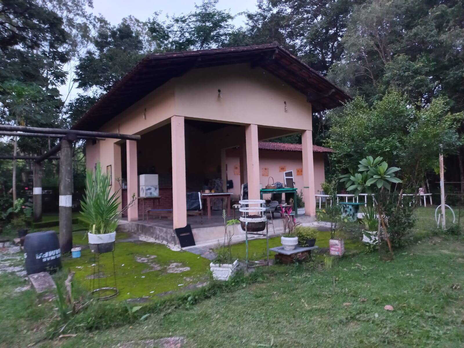 Terreno, 10 hectares - Foto 11