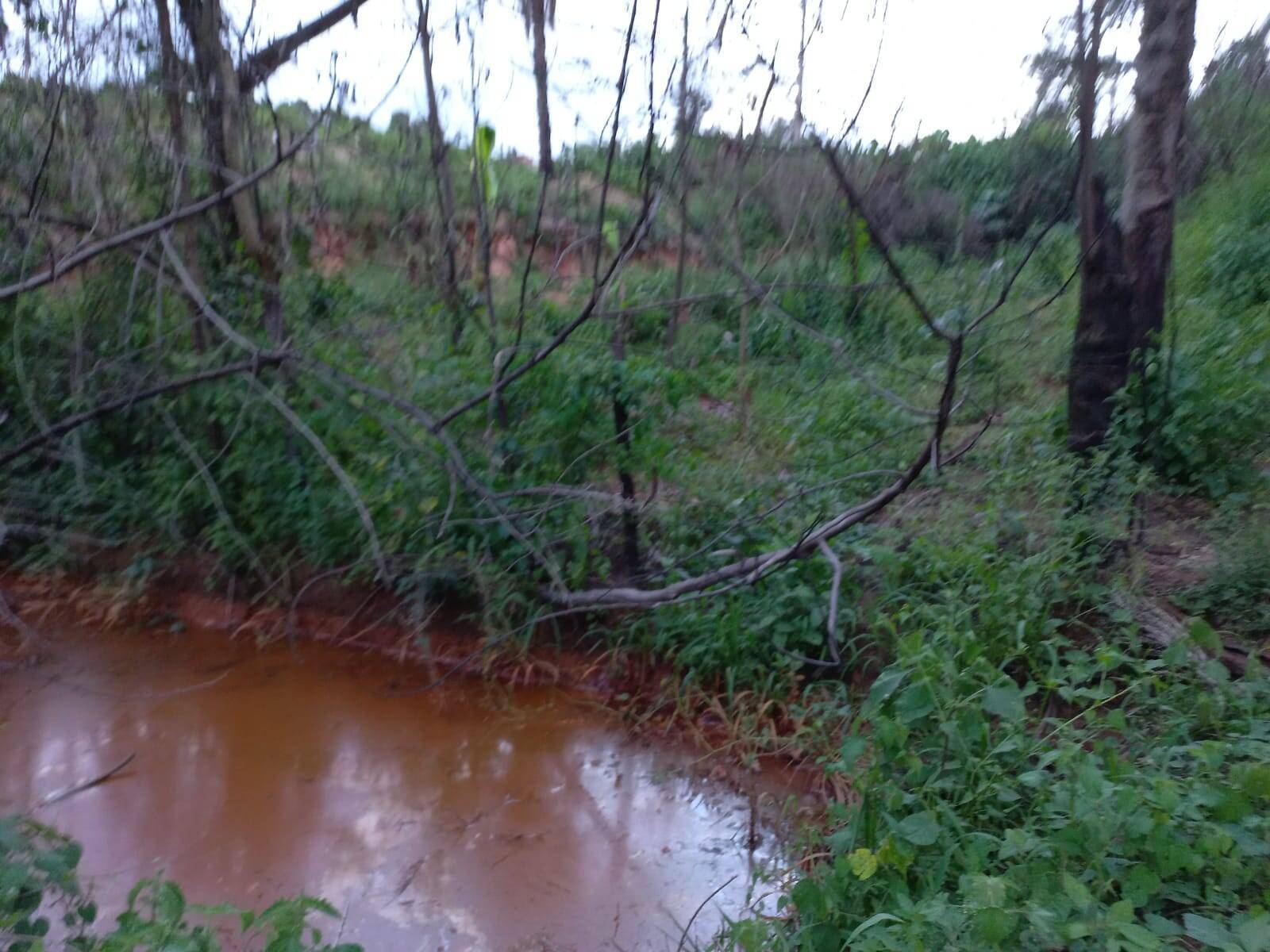 Terreno, 10 hectares - Foto 17