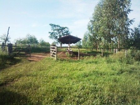 Fazenda em Venda em Curvelo Belo Horizonte