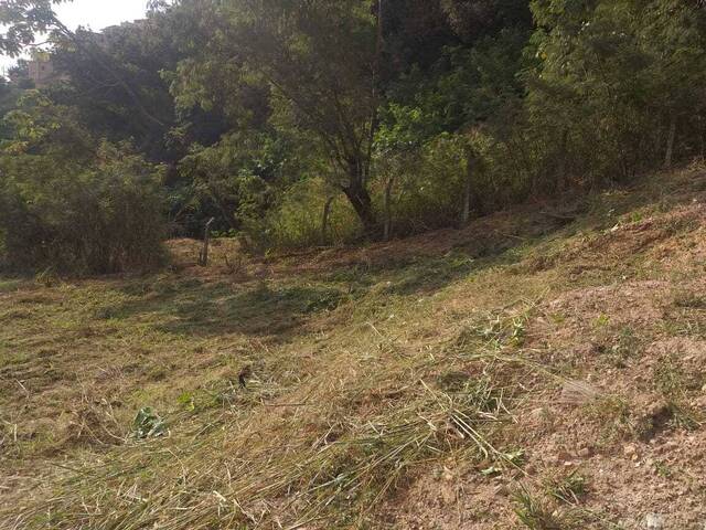 Terreno para Venda em Belo Horizonte - 4