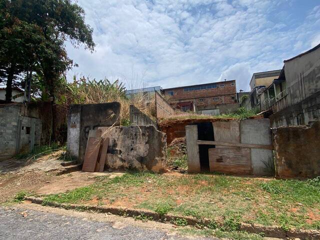 Terreno para Venda em Belo Horizonte - 4