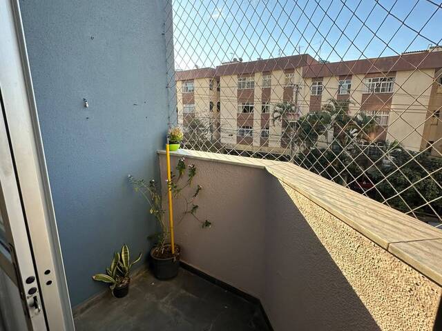 Apartamento para Locação em Belo Horizonte - 4